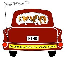HBHRcar