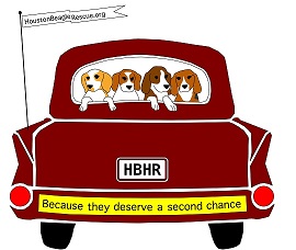 hbhr logo small 2