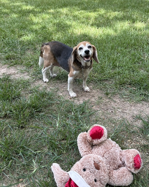 Maggie