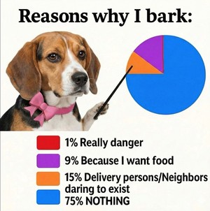 why-bark-1-really-danger-9-because-want-food-15-delivery-personsneighbors-daring-exist-75-nothing